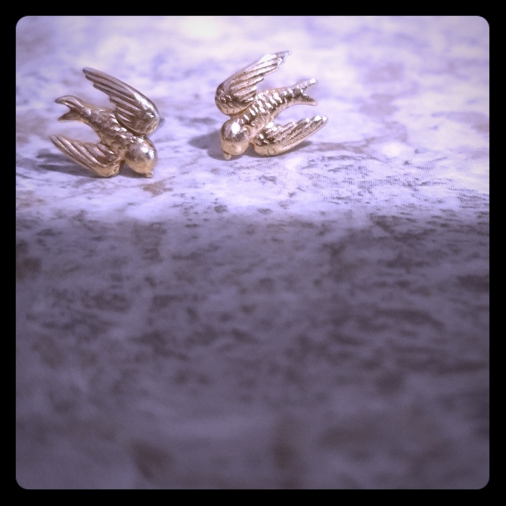 Swallow studs